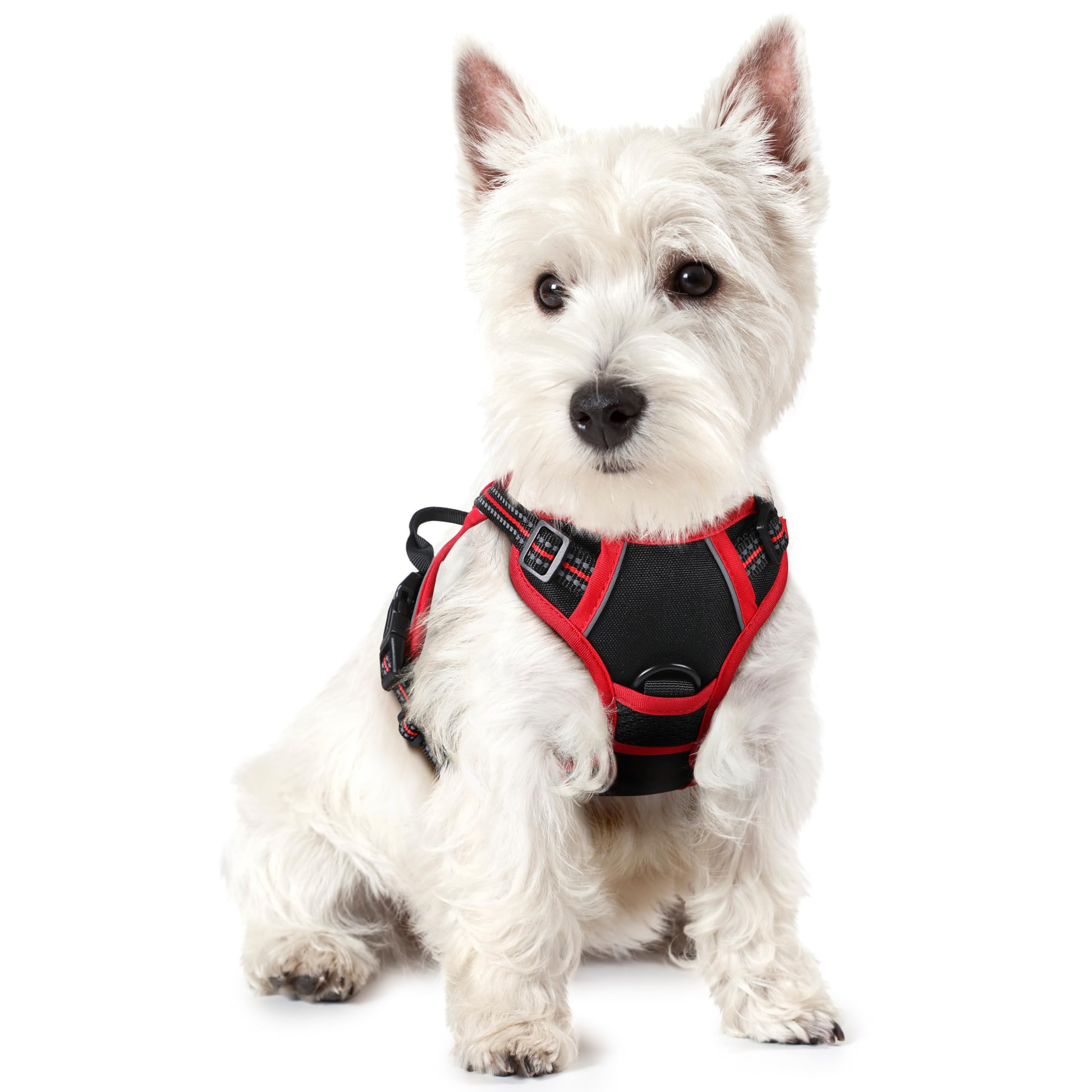 PawGuard No-Pull Reflective Dog Harness - Large Black -  by Handbags Specialist Headquarter | Available at Handbags Specialist Headquarter