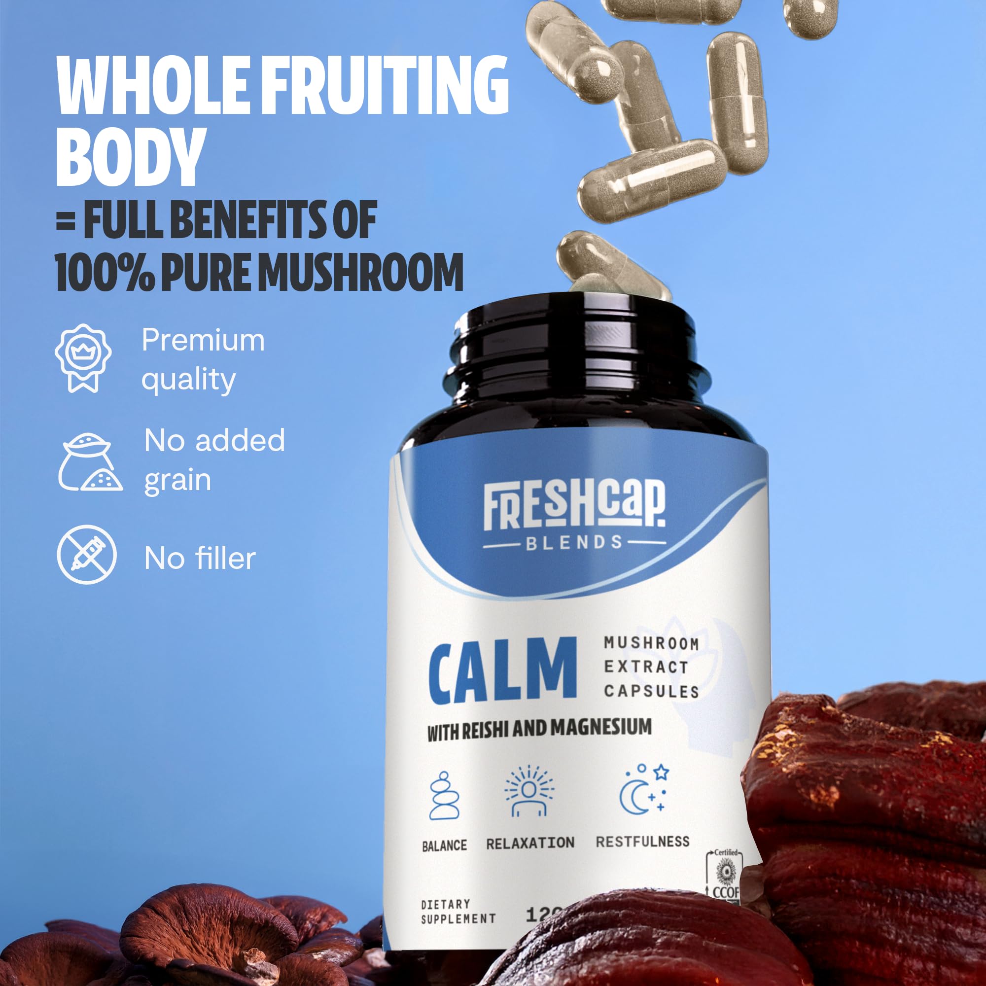 MushroomMind: Ultimate Nootropic Focus Formula - Health-Care by Handbags Specialist Headquarter | Available at Handbags Specialist Headquarter