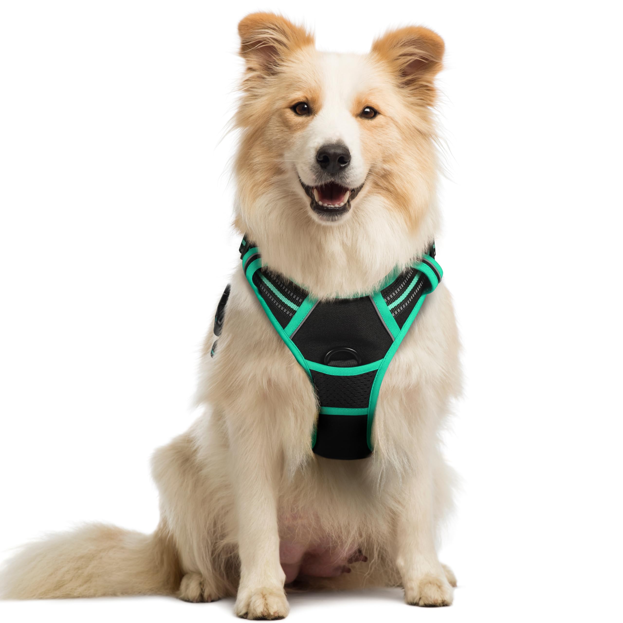 PawGuard No-Pull Reflective Dog Harness - Large Black -  by Handbags Specialist Headquarter | Available at Handbags Specialist Headquarter