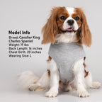 PlaidPup Waffle Vest: Soft, Stretchy, & Cute! - Pet Supplies by Handbags Specialist Headquarter | Available at Handbags Specialist Headquarter