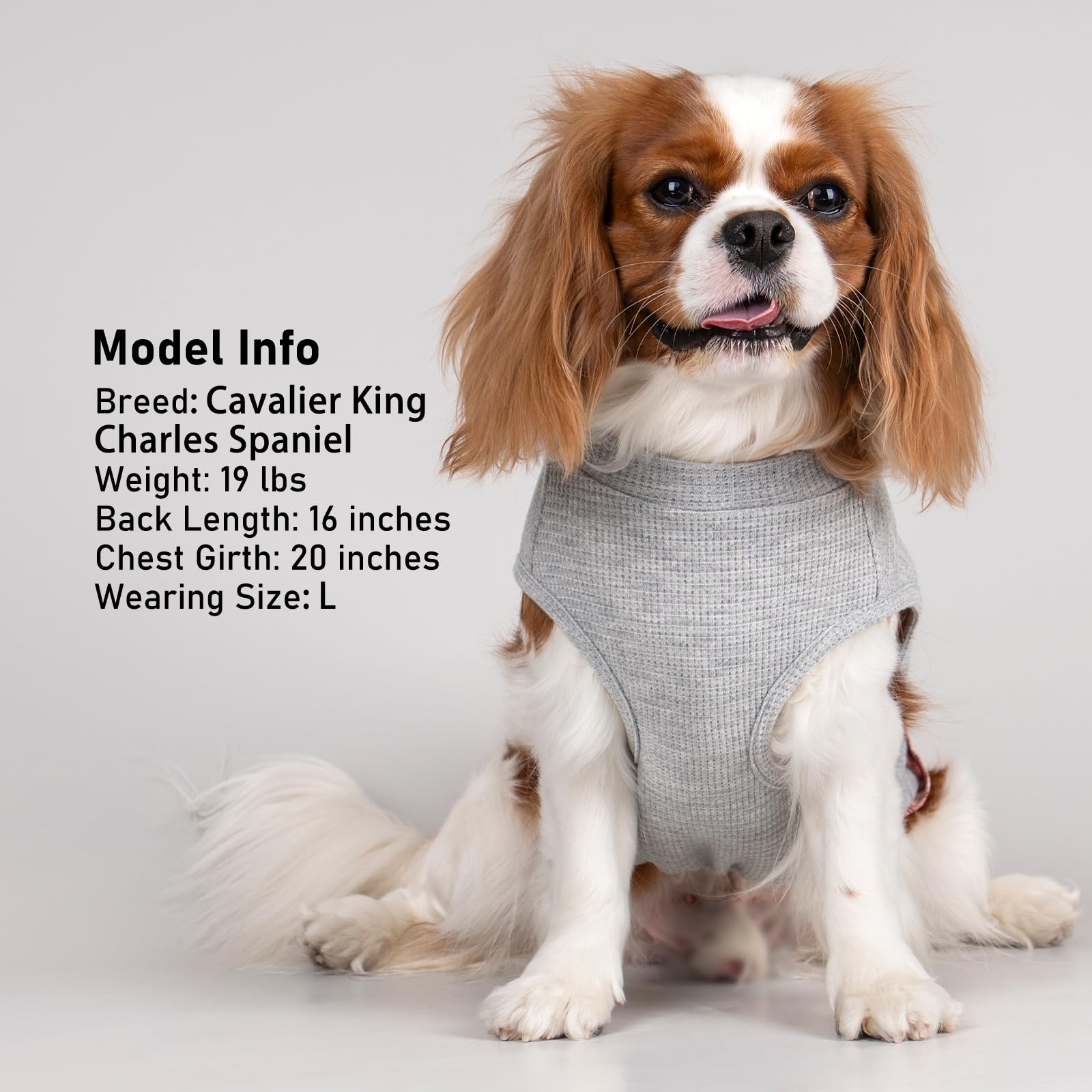 PlaidPup Waffle Vest: Soft, Stretchy, & Cute! - Pet Supplies by Handbags Specialist Headquarter | Available at Handbags Specialist Headquarter