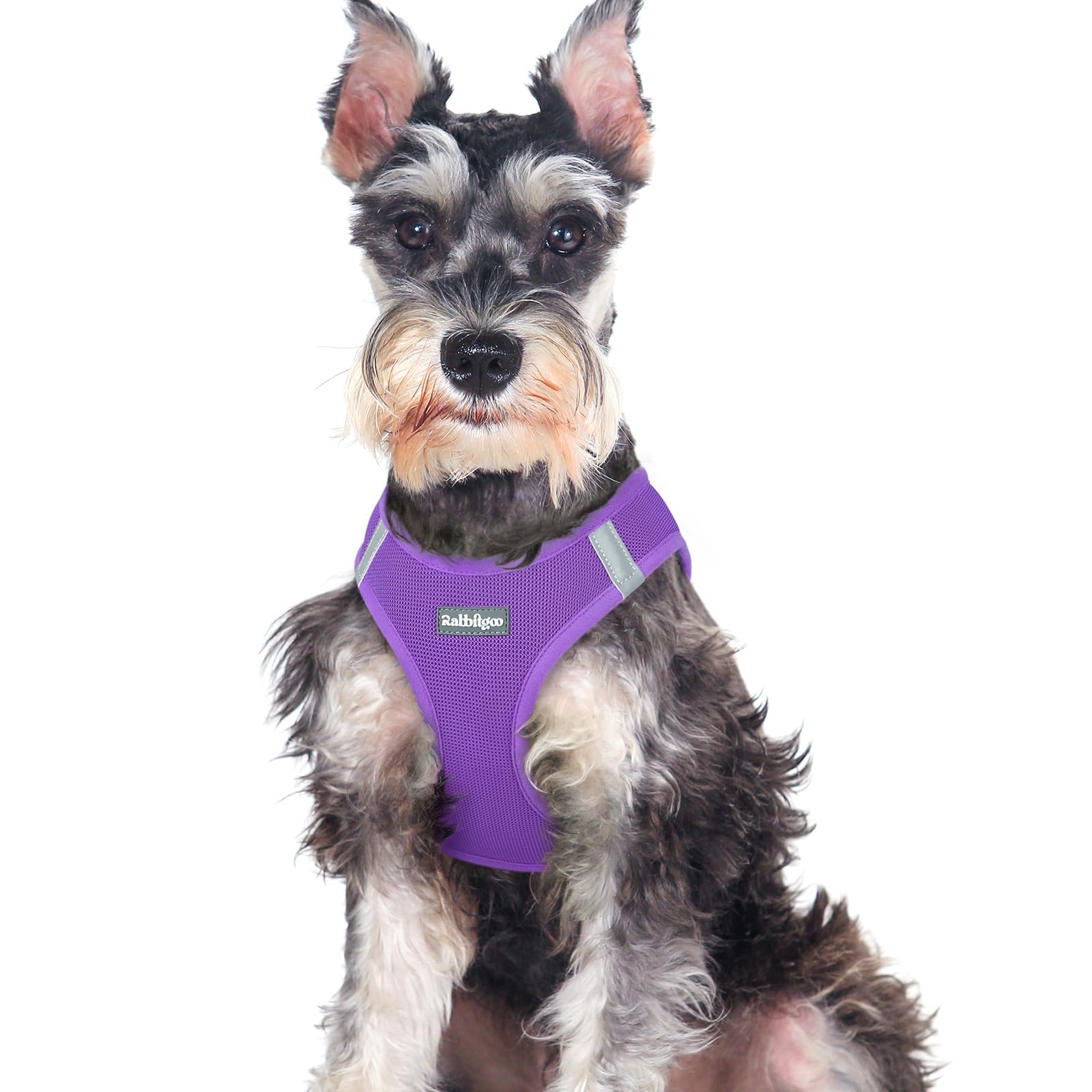 BunnyStep: Reflective Mesh Harness for Small Dogs -  by Handbags Specialist Headquarter | Available at Handbags Specialist Headquarter