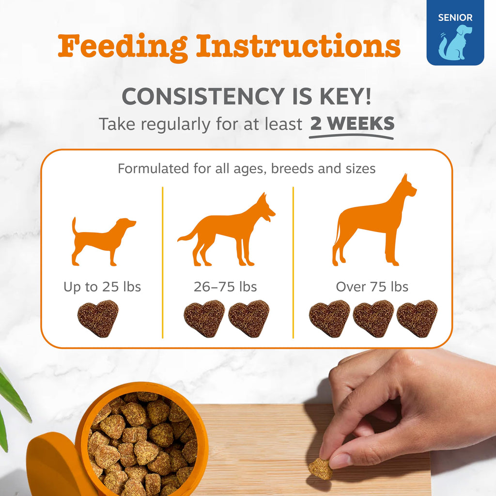 Zesty Paws Itch & Allergy Relief Chews - Lamb 90ct -  by Handbags Specialist Headquarter | Available at Handbags Specialist Headquarter