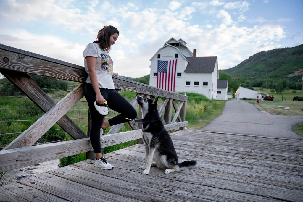 SpinFree 360° Dog Leash - Large, White, 16ft Nylon -  by Handbags Specialist Headquarter | Available at Handbags Specialist Headquarter