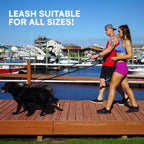 RhinoGrip Aqua: Double Handle Reflective Dog Leash -  by Handbags Specialist Headquarter | Available at Handbags Specialist Headquarter