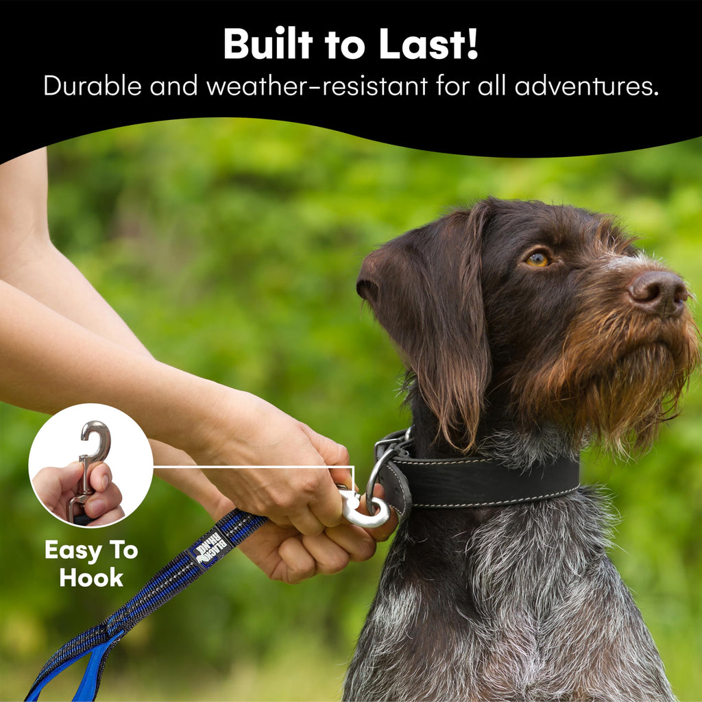 RhinoGrip Aqua: Double Handle Reflective Dog Leash -  by Handbags Specialist Headquarter | Available at Handbags Specialist Headquarter