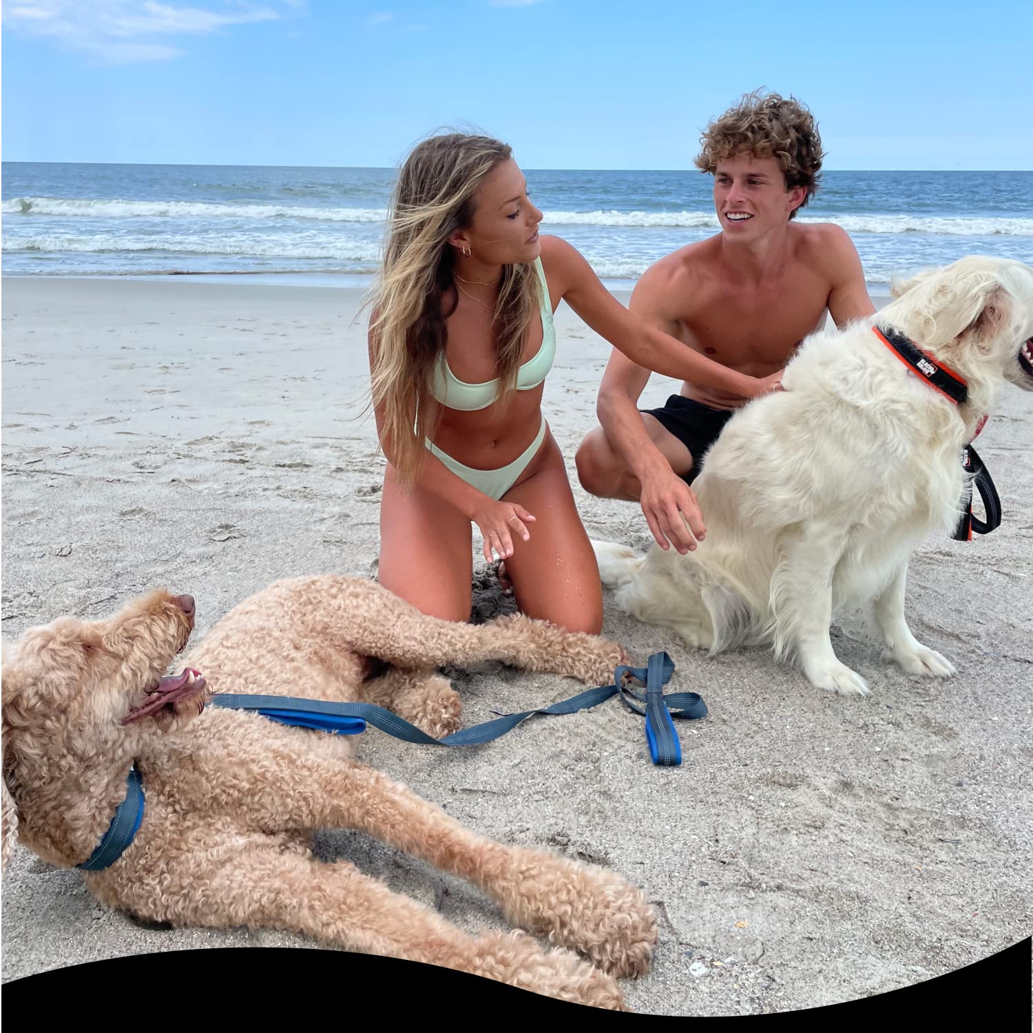 RhinoGrip Aqua: Double Handle Reflective Dog Leash -  by Handbags Specialist Headquarter | Available at Handbags Specialist Headquarter