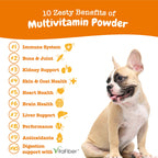 PawZest Omega Multivitamin Chews - Senior & Puppy -  by Handbags Specialist Headquarter | Available at Handbags Specialist Headquarter
