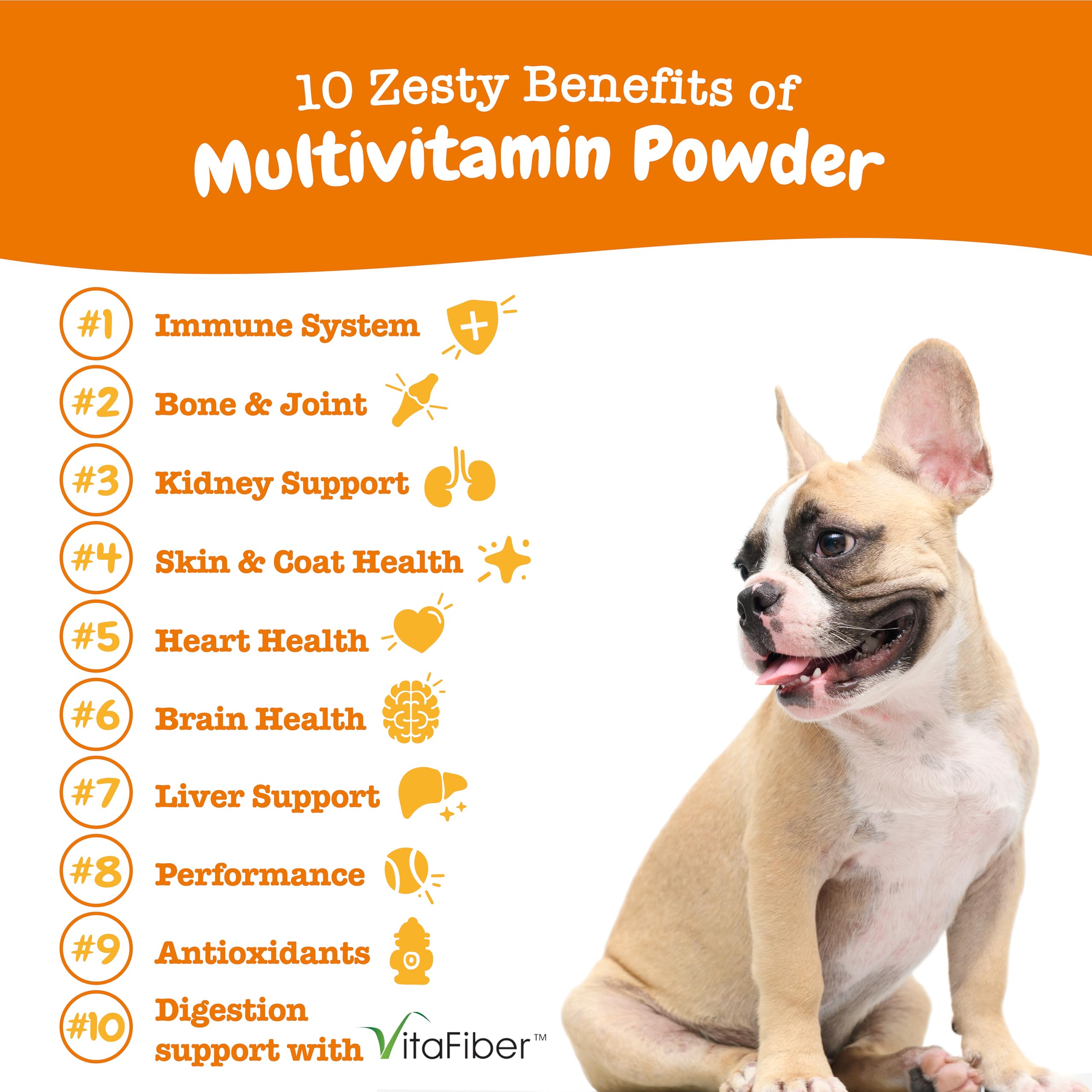 PawZest Omega Multivitamin Chews - Senior & Puppy -  by Handbags Specialist Headquarter | Available at Handbags Specialist Headquarter