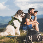 GuardianGrip Tactical Dog Vest - Large, Reflective, Green -  by Handbags Specialist Headquarter | Available at Handbags Specialist Headquarter