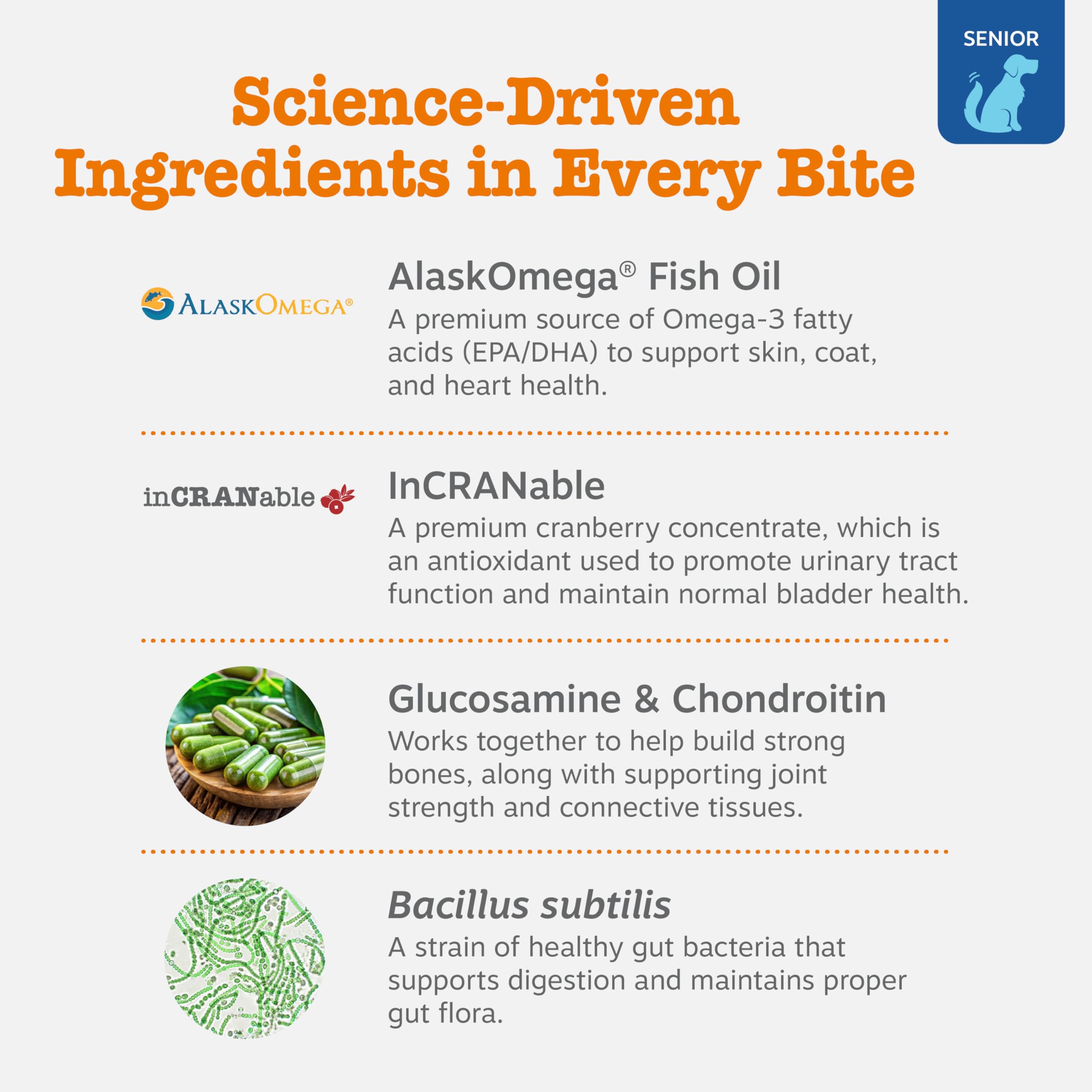 PawZest Omega Multivitamin Chews - Senior & Puppy -  by Handbags Specialist Headquarter | Available at Handbags Specialist Headquarter