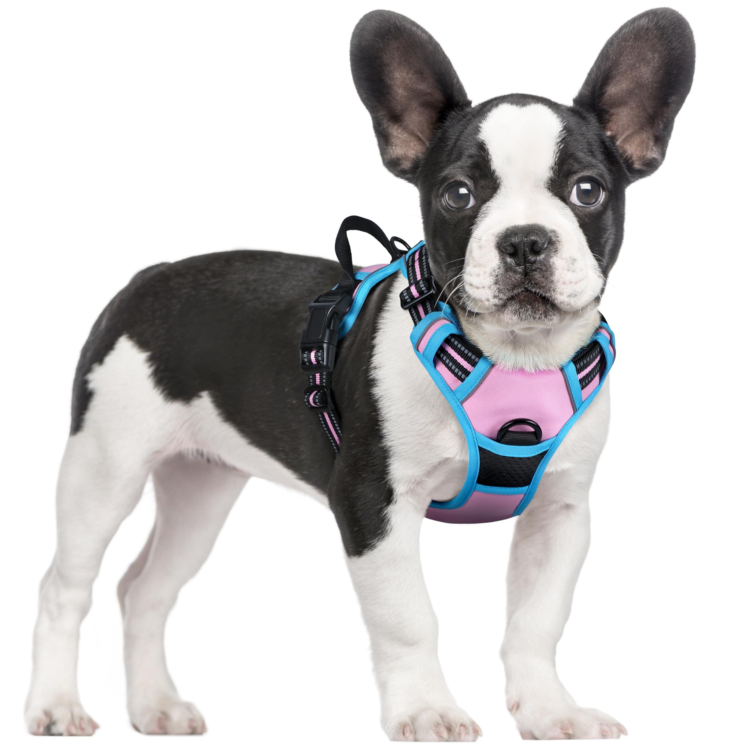 PawGuard No-Pull Reflective Dog Harness - Large Black -  by Handbags Specialist Headquarter | Available at Handbags Specialist Headquarter