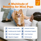 PawZest Omega Multivitamin Chews - Senior & Puppy -  by Handbags Specialist Headquarter | Available at Handbags Specialist Headquarter