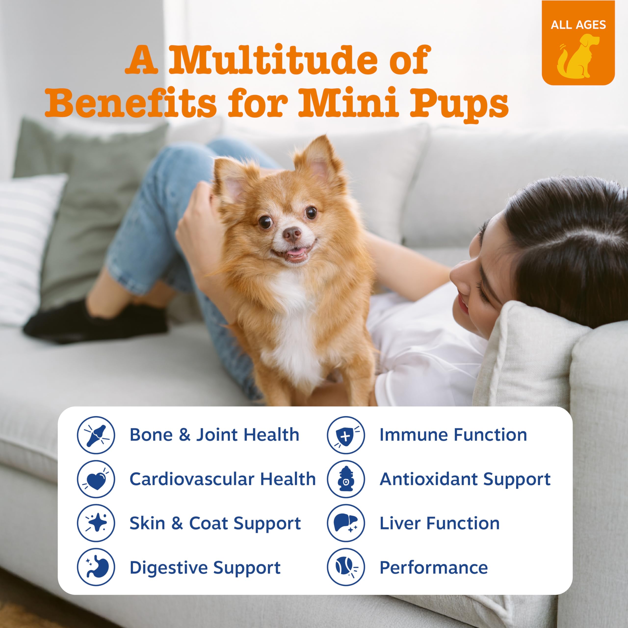 PawZest Omega Multivitamin Chews - Senior & Puppy -  by Handbags Specialist Headquarter | Available at Handbags Specialist Headquarter