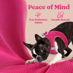 BunnyStep: Reflective Mesh Harness for Small Dogs -  by Handbags Specialist Headquarter | Available at Handbags Specialist Headquarter