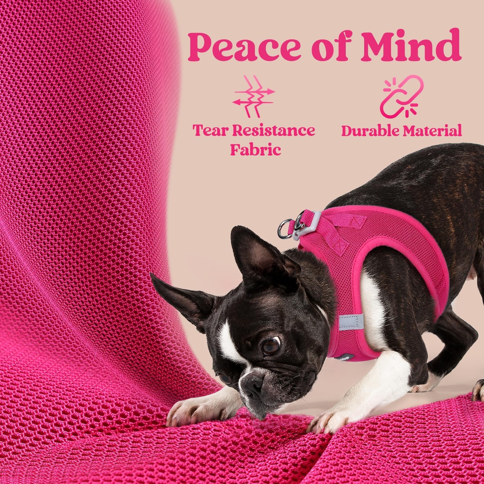 BunnyStep: Reflective Mesh Harness for Small Dogs -  by Handbags Specialist Headquarter | Available at Handbags Specialist Headquarter