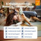 PawZest Omega Multivitamin Chews - Senior & Puppy -  by Handbags Specialist Headquarter | Available at Handbags Specialist Headquarter