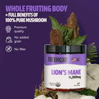 MushroomMind: Ultimate Nootropic Focus Formula - Health-Care by Handbags Specialist Headquarter | Available at Handbags Specialist Headquarter