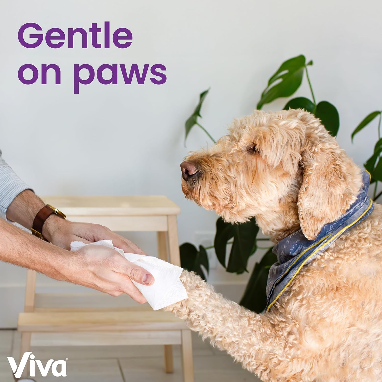 Viva Ultra-Absorbent Double Rolls - 3 Pack, 86 Sheets -  by Handbags Specialist Headquarter | Available at Handbags Specialist Headquarter