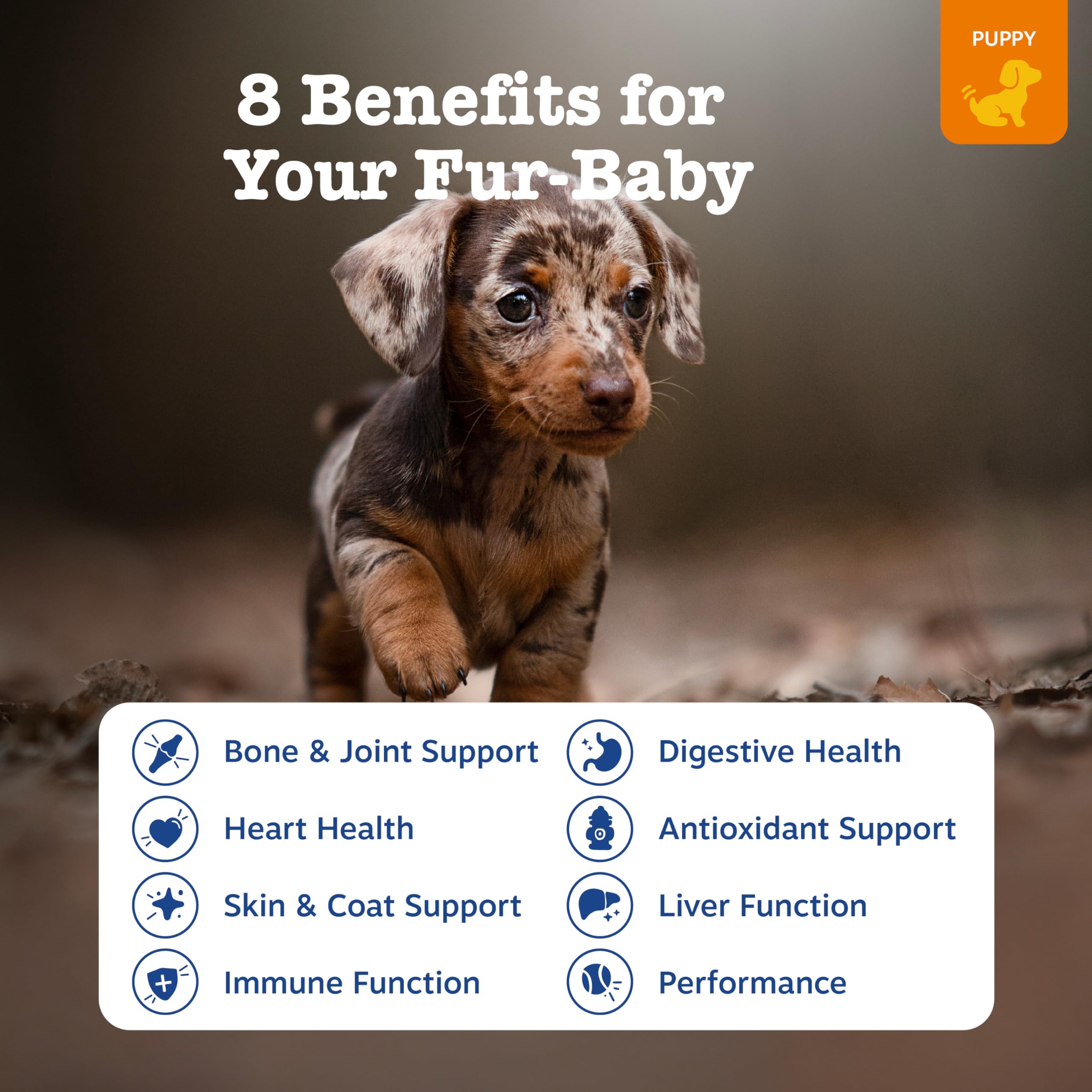 PawZest Omega Multivitamin Chews - Senior & Puppy -  by Handbags Specialist Headquarter | Available at Handbags Specialist Headquarter