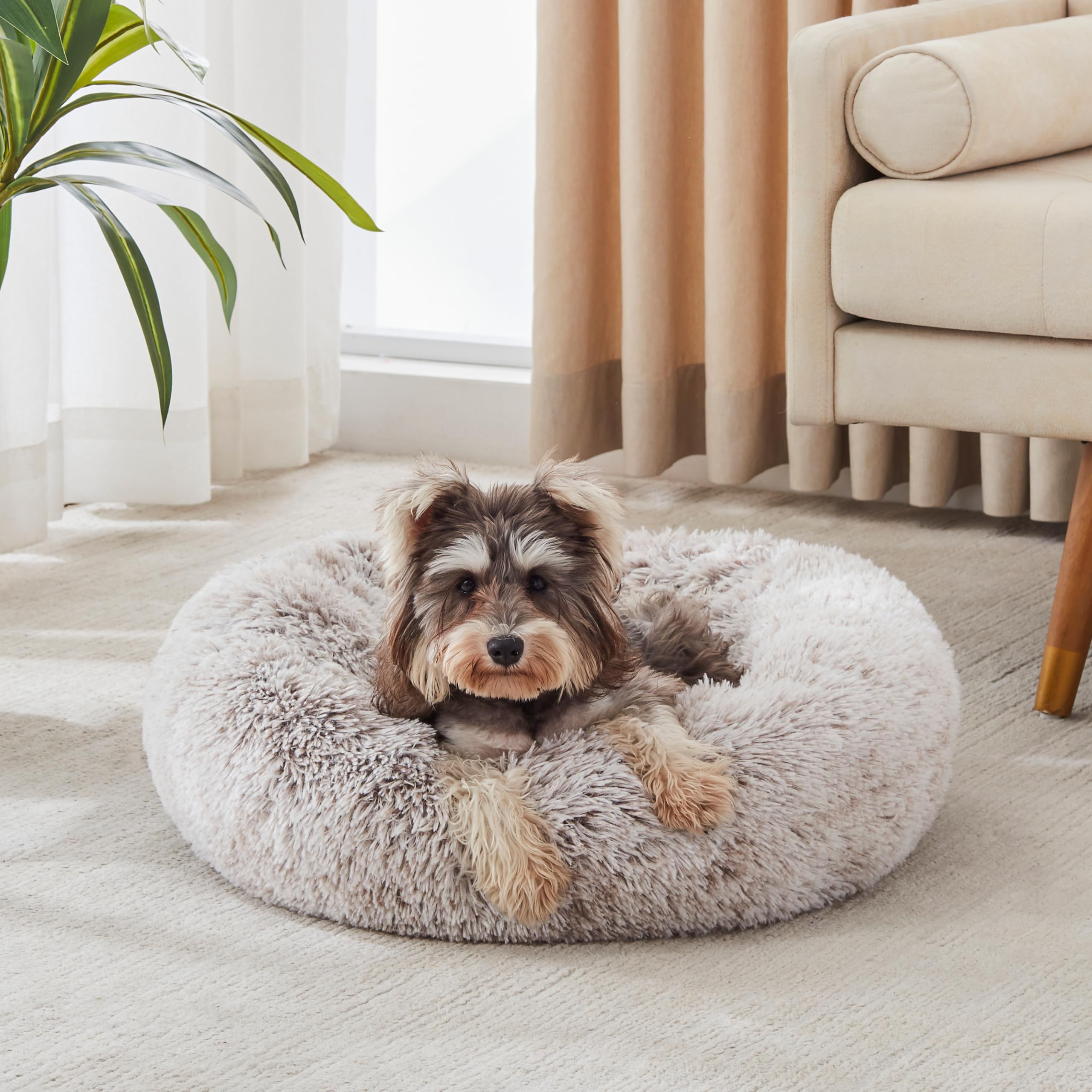 PawCozy Nest: Plush Anti-Anxiety Pet Bed, Light Grey -  by Handbags Specialist Headquarter | Available at Handbags Specialist Headquarter