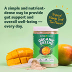 GreenBoost Superfood Smoothie Mix - Unflavored Bliss - Health Care by Handbags Specialist Headquarter | Available at Handbags Specialist Headquarter