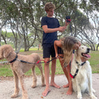 RhinoGrip Aqua: Double Handle Reflective Dog Leash -  by Handbags Specialist Headquarter | Available at Handbags Specialist Headquarter