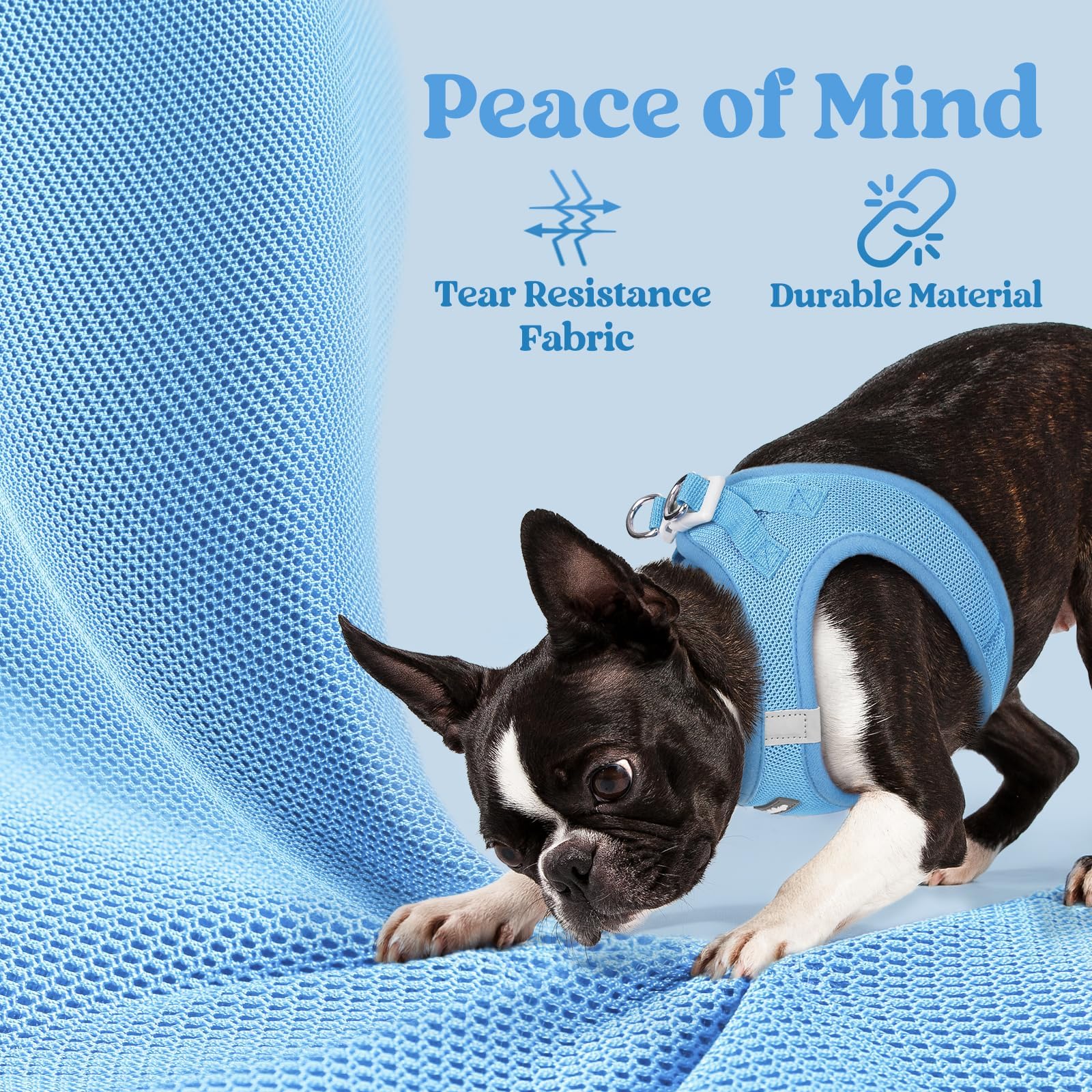 BunnyStep: Reflective Mesh Harness for Small Dogs -  by Handbags Specialist Headquarter | Available at Handbags Specialist Headquarter