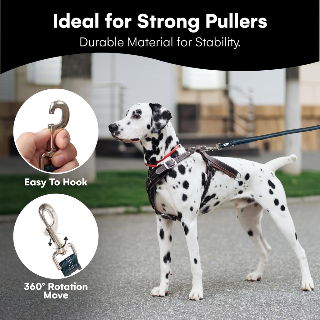 RhinoGrip Aqua: Double Handle Reflective Dog Leash -  by Handbags Specialist Headquarter | Available at Handbags Specialist Headquarter