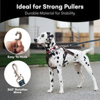 RhinoGrip Aqua: Double Handle Reflective Dog Leash -  by Handbags Specialist Headquarter | Available at Handbags Specialist Headquarter