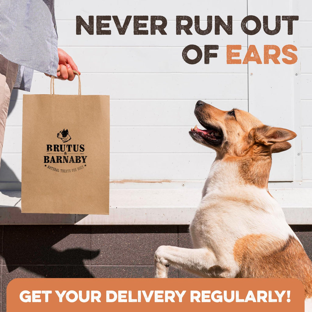 PawSavor Pig Ears: Natural, Tasty Chews for Dogs -  by Handbags Specialist Headquarter | Available at Handbags Specialist Headquarter