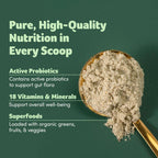 GreenBoost Superfood Smoothie Mix - Unflavored Bliss - Health Care by Handbags Specialist Headquarter | Available at Handbags Specialist Headquarter