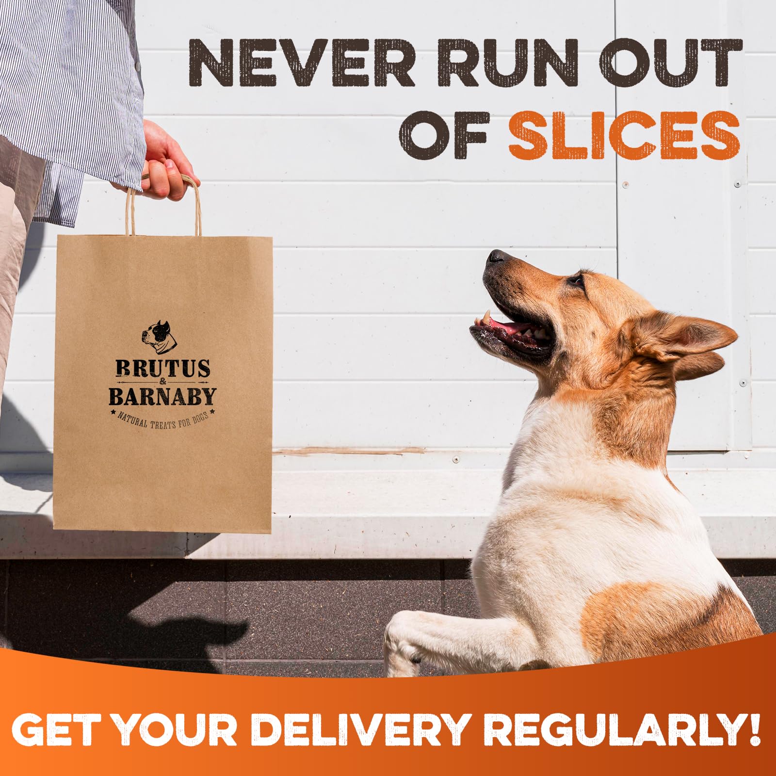 Brutus & Barnaby Sweet Potato Pup Delights - Pet Supplies by Handbags Specialist Headquarter | Available at Handbags Specialist Headquarter