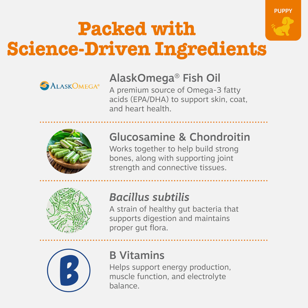 PawZest Omega Multivitamin Chews - Senior & Puppy -  by Handbags Specialist Headquarter | Available at Handbags Specialist Headquarter