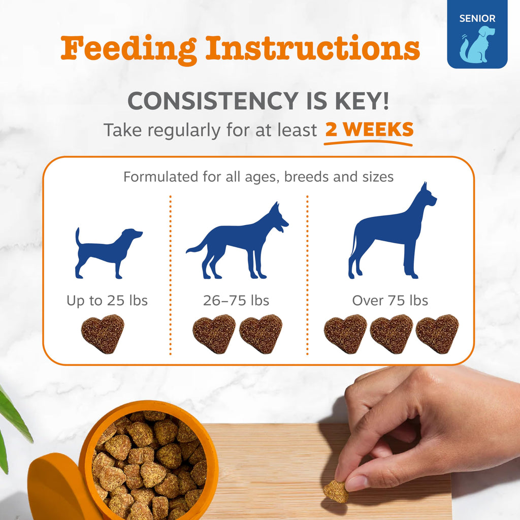 PawZest Omega Multivitamin Chews - Senior & Puppy -  by Handbags Specialist Headquarter | Available at Handbags Specialist Headquarter