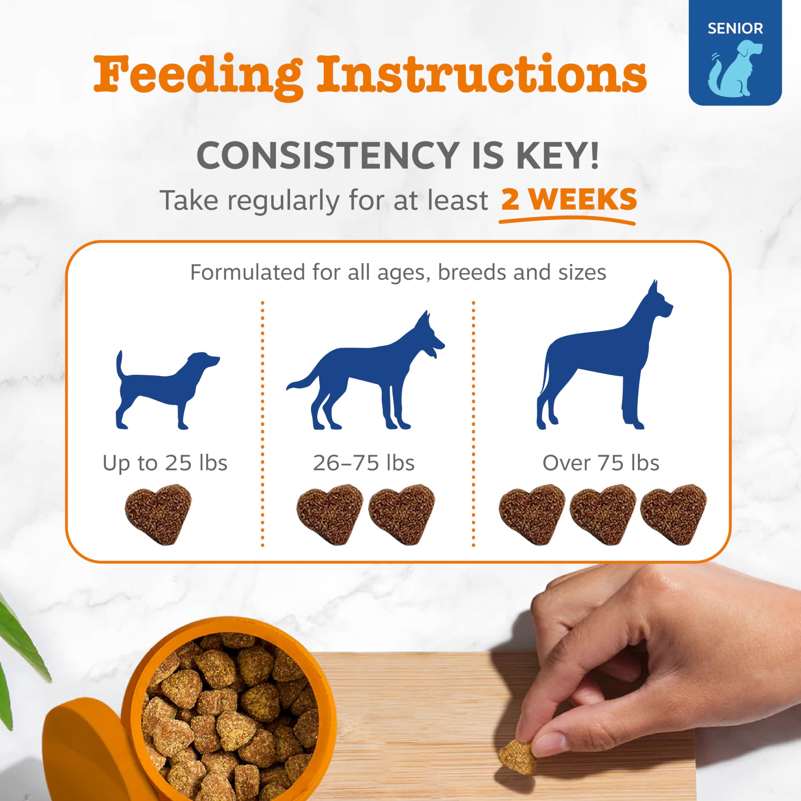 PawZest Omega Multivitamin Chews - Senior & Puppy -  by Handbags Specialist Headquarter | Available at Handbags Specialist Headquarter