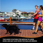 RhinoGrip Aqua: Double Handle Reflective Dog Leash -  by Handbags Specialist Headquarter | Available at Handbags Specialist Headquarter