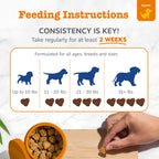 PawZest Omega Multivitamin Chews - Senior & Puppy -  by Handbags Specialist Headquarter | Available at Handbags Specialist Headquarter