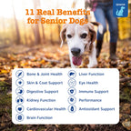 PawZest Omega Multivitamin Chews - Senior & Puppy -  by Handbags Specialist Headquarter | Available at Handbags Specialist Headquarter