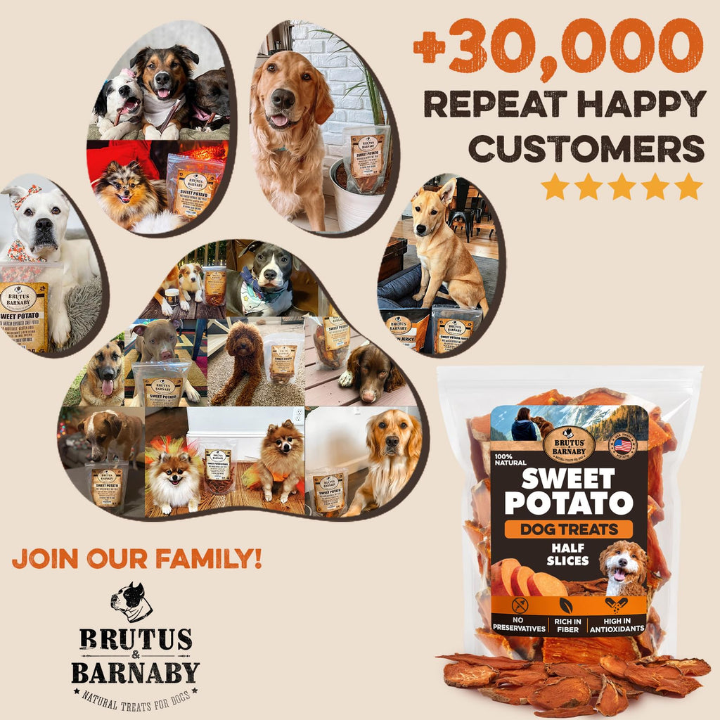 Brutus & Barnaby Sweet Potato Pup Delights - Pet Supplies by Handbags Specialist Headquarter | Available at Handbags Specialist Headquarter