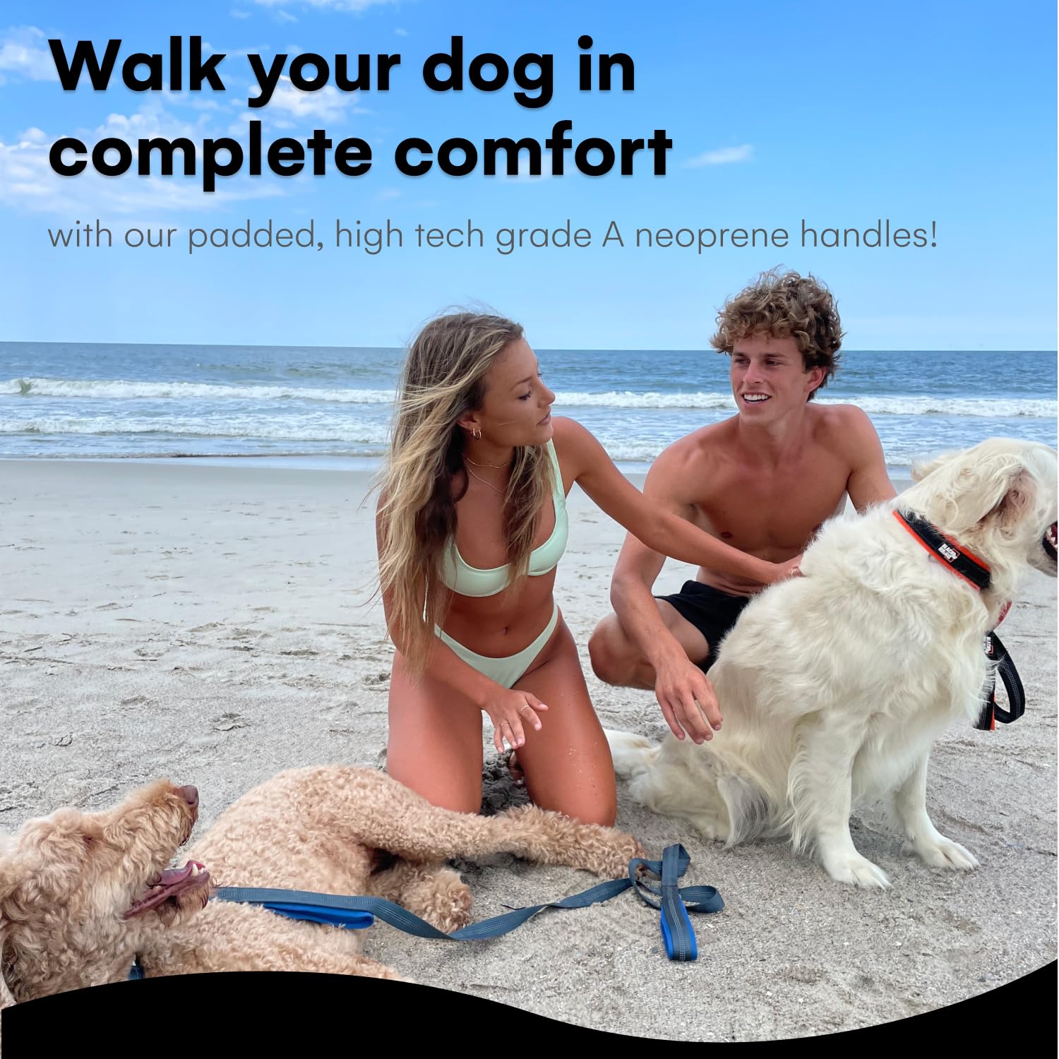 RhinoGrip Aqua: Double Handle Reflective Dog Leash -  by Handbags Specialist Headquarter | Available at Handbags Specialist Headquarter