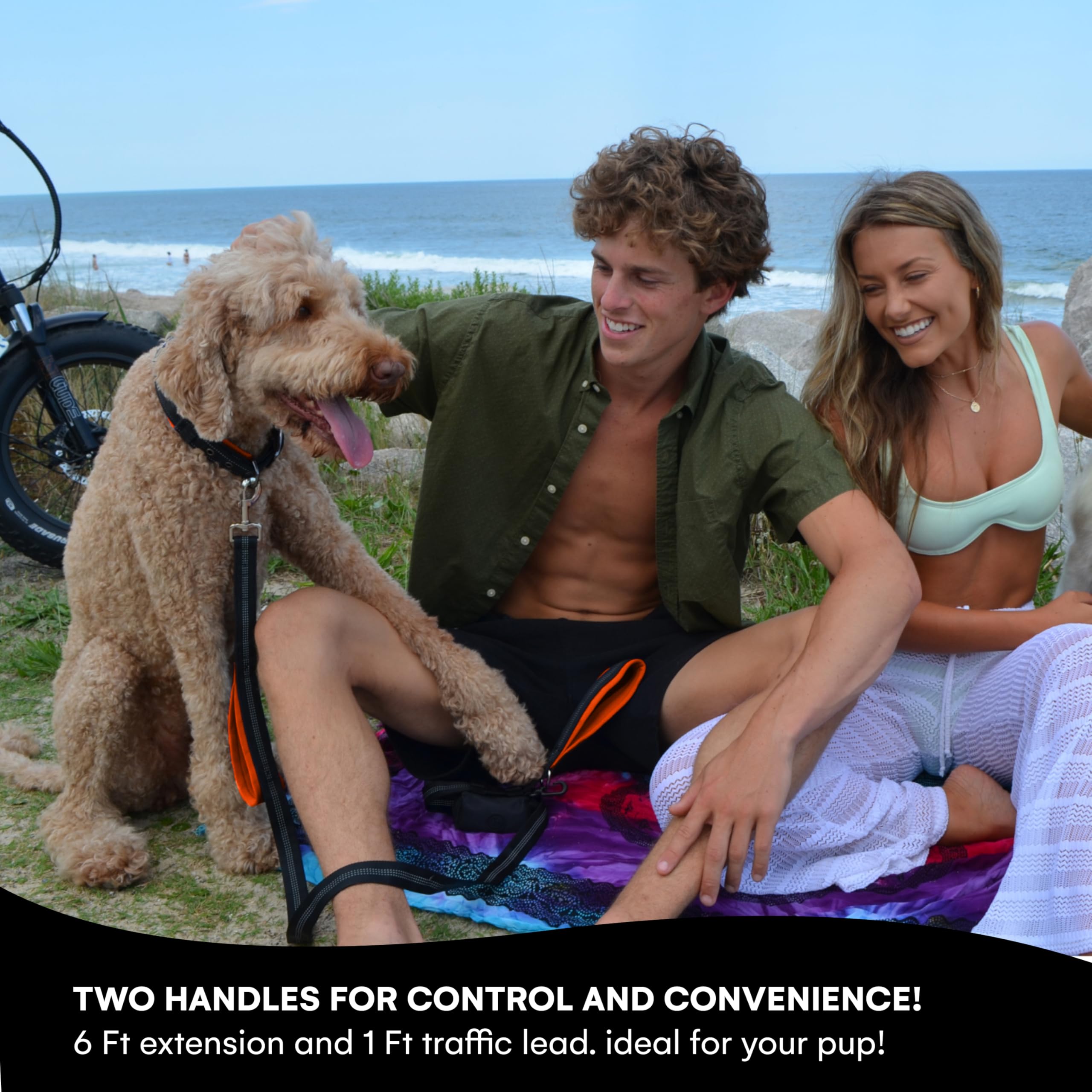 RhinoGrip Aqua: Double Handle Reflective Dog Leash -  by Handbags Specialist Headquarter | Available at Handbags Specialist Headquarter