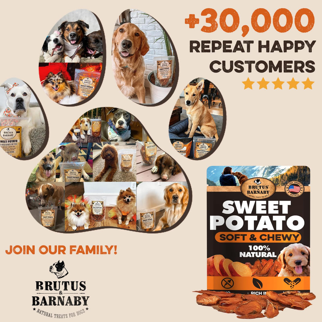Brutus & Barnaby Sweet Potato Pup Delights - Pet Supplies by Handbags Specialist Headquarter | Available at Handbags Specialist Headquarter