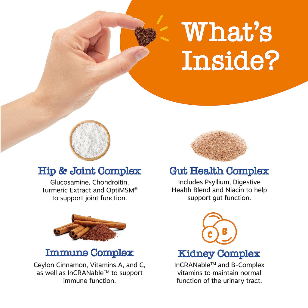 PawZest Omega Multivitamin Chews - Senior & Puppy -  by Handbags Specialist Headquarter | Available at Handbags Specialist Headquarter