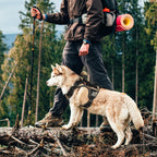 GuardianGrip Tactical Dog Vest - Large, Reflective, Green -  by Handbags Specialist Headquarter | Available at Handbags Specialist Headquarter