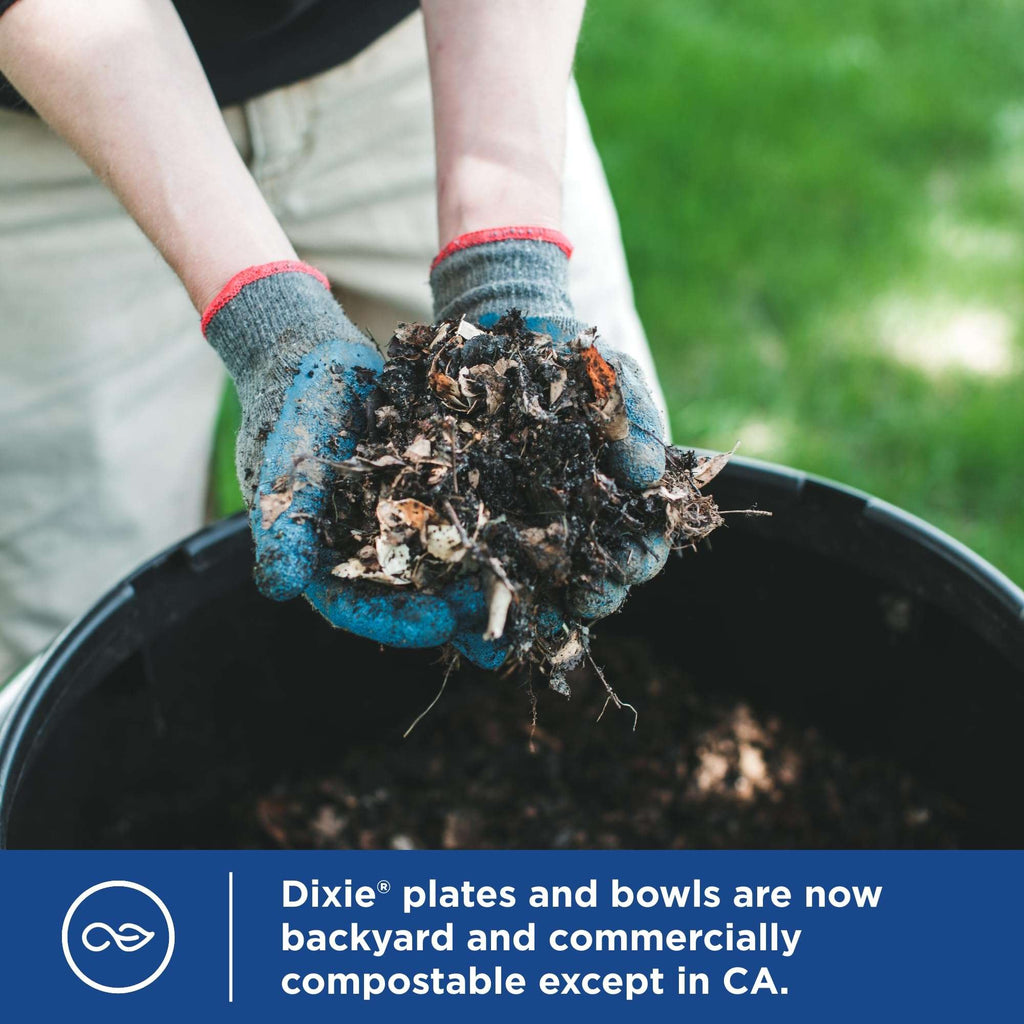 Durable Dixie 8.5 Plates: Strong, Safe & Soak-Proof - Paper Plates by Handbags Specialist Headquarter | Available at Handbags Specialist Headquarter