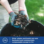 Durable Dixie 8.5 Plates: Strong, Safe & Soak-Proof - Paper Plates by Handbags Specialist Headquarter | Available at Handbags Specialist Headquarter