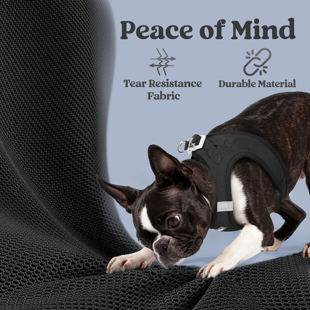 BunnyStep: Reflective Mesh Harness for Small Dogs -  by Handbags Specialist Headquarter | Available at Handbags Specialist Headquarter