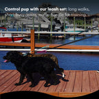 RhinoGrip Aqua: Double Handle Reflective Dog Leash -  by Handbags Specialist Headquarter | Available at Handbags Specialist Headquarter