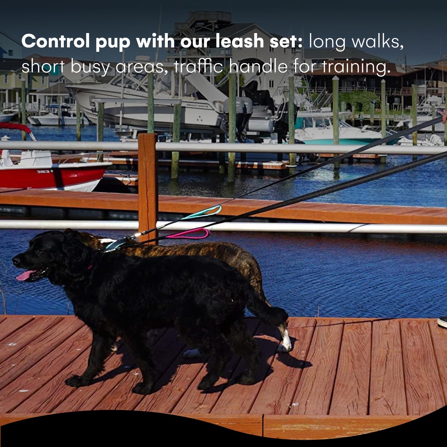 RhinoGrip Aqua: Double Handle Reflective Dog Leash -  by Handbags Specialist Headquarter | Available at Handbags Specialist Headquarter